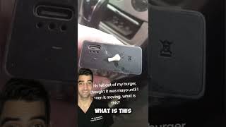 Download lagu Tapeworm mp3