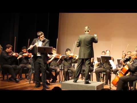 Mozart Andante in C major - Lucas Martins