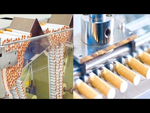 , title : 'Excellent Modern Cigarette And Tobacco Manufacturing Process| Modern Technology For Making Cigarette'