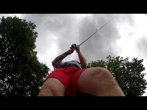 JENZI 2015 - Viplex One tested by Björn Lüdtke