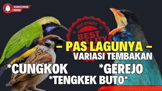 Download lagu PAS VARIASI TEMBAKANNTA!!! MASTERAN KOMBINASI - GEREJA TARUNG - TENGKEK BUTO - CUNGKOK MENJERIT mp3 Download lagu PAS VARIASI TEMBAKANNTA!!! MASTERAN KOMBINASI - GEREJA TARUNG - TENGKEK BUTO - CUNGKOK MENJERIT mp3