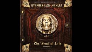 Stephen "Ragga" Marley ft. Damian "Jr. Gong" Marley - Music Is Alive
