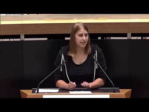 Rede zur Einrichtung einer Erfassungsstelle für Angriffe auf die Meinungs- und Versammlungsfreiheit