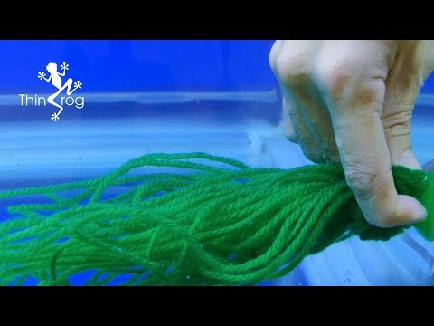 download lagu mp3 mp4 Natural Breed, download lagu Natural Breed gratis, unduh video klip Natural Breed