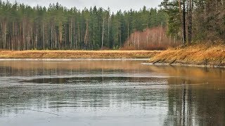 Рыбалка в бабаевском районе вологодской области