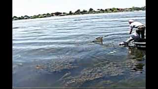 preview picture of video 'Operatiunea Fitofagu part 1.avi Delta Dunarii Crisan 2010 pescuit la crap'