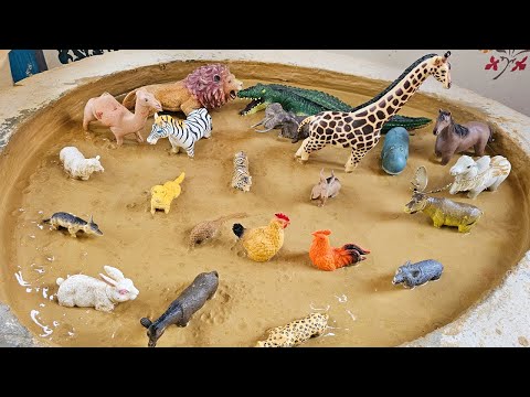The Great Animal Sand Challenge: Farm and Jungle Animals Face Off in the Sandbox!