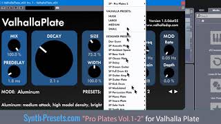Video thumbnail for Pro Plates for Valhalla Plate - Presets For Valhalla Plate by Recording Studio Tutorials & Guides With Steve