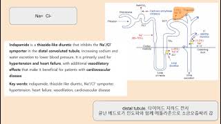 indapamide, thiazide like diuretic, Na⁺Cl⁻ symporter, hypertension, heart failure, edema