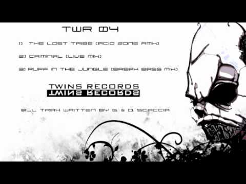 DANYTRIBE - THE LOST TRIBE (acid zone rmx)