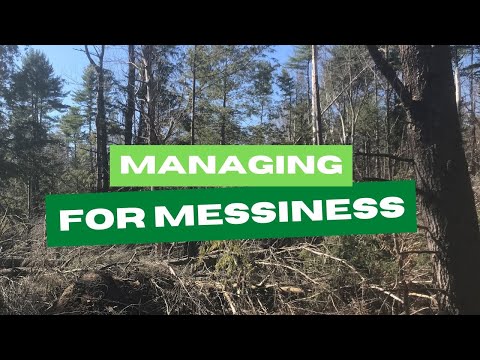 What is a Healthy Forest? Managing for Messiness