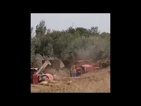 mediacalarasi.ro - Momentul îngropării a mii de cadavre de porci în poligonul  din mun. Călărași