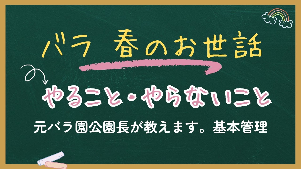 バラ　春のお世話　　やること・やらないこと　元バラ園公園長が教えます。基本管理