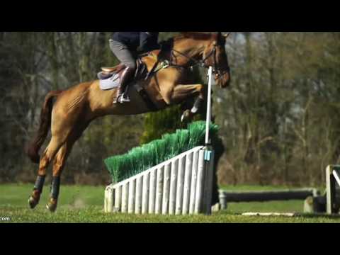 XC schooling