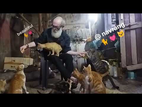 Beautiful cats🙏jay siyaram 🙏