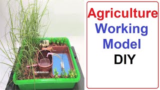 agriculture working model | inspire award science project