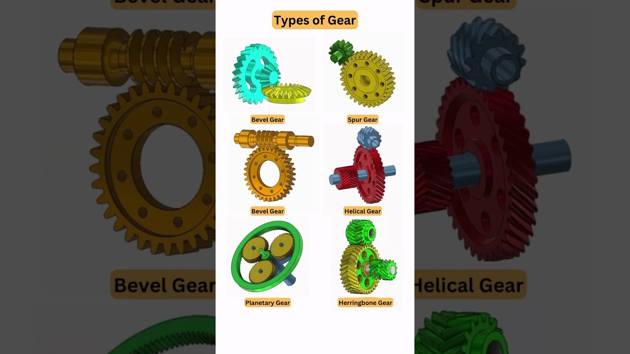 1) Bevel 2)Spur 3)Worm 4)Helical 5)Planetary 6)Herringbone #3danimation #cad #gear #engineering #3d