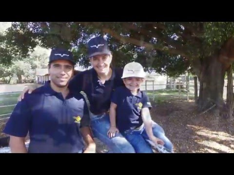 LAVÍNIA PAVAN   2016