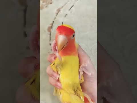 ۱۹ اوت ۲۰۲۴