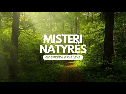 Pastrimi që e kthen një ateist në mysliman ! | EL KUDDYS