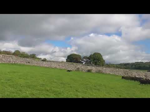 Smith(2)Filmed 24.9.17 Attn. of JS