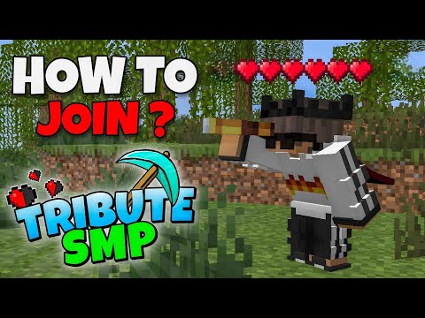 How to join Minecraft lifesteal smp |tribute smp?? |  #minecraft #viral