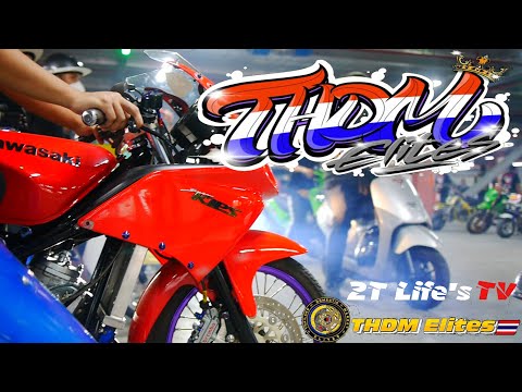 THDM Elites Year 7 2T / 4T