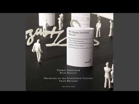 Violin Concerto No. 1 in B-Flat Major, K. 207: I. Allegro moderato