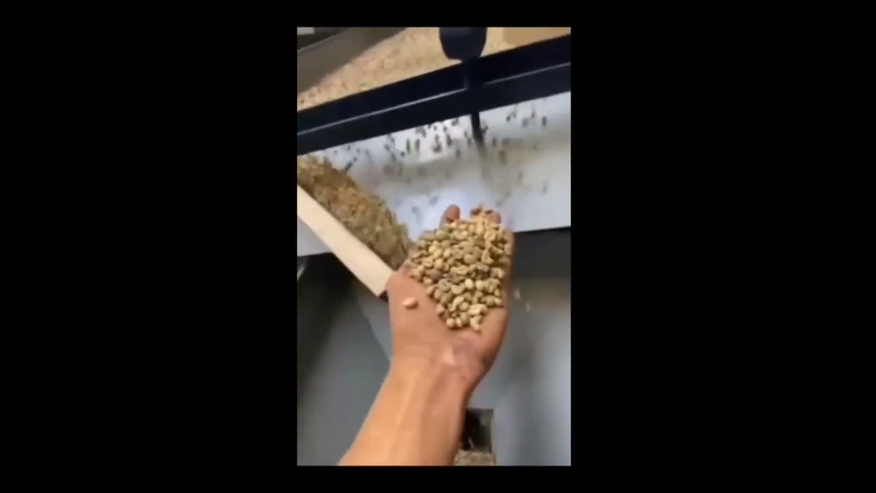 Robusta Video Thumbnail