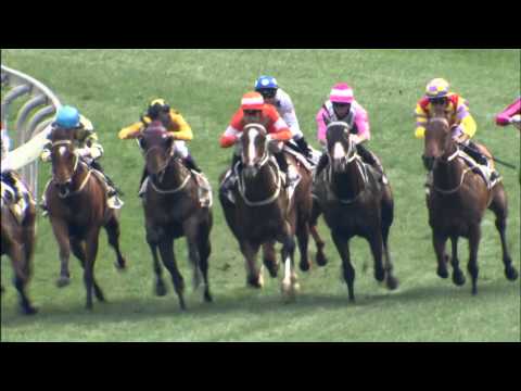 [Champions Mile & Chairman's Sprint Prize 2016] Selected Runners (as at 11/04/2016)