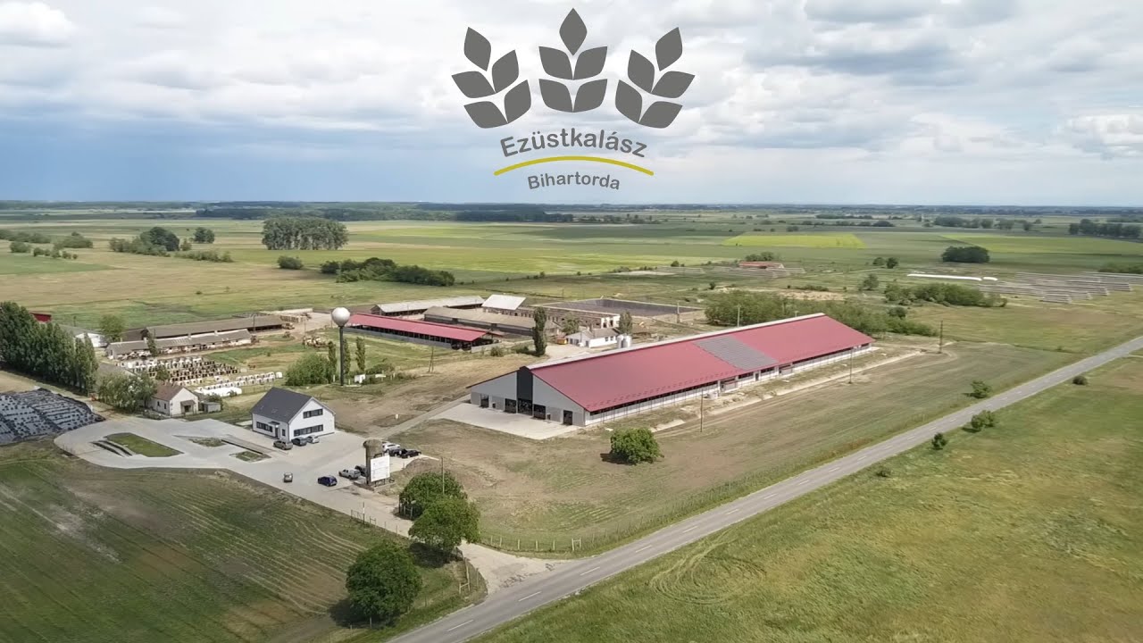 Telep-műszakvezetőt keresünk