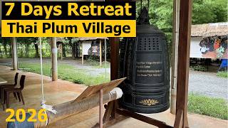 Thai Plum Village - 7 Days Mindfulness Retreat - May 2026 - What To Expect
