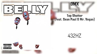 DMX - Top Shotter (Feat. Sean Paul &amp; Mr. Vegas) (432HZ)