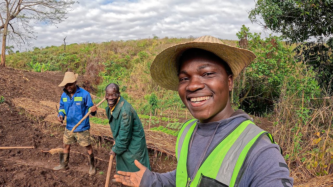 O Futuro da Colheita Começa Aqui - Preparando a Terra e Decidindo o que Plantar!