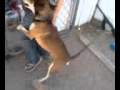 Kid Get Raped