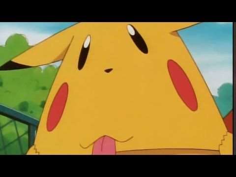 關於皮卡丘的幾件事 (Pokedex Parody: Pikachu)