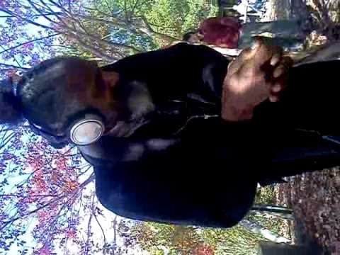 Dacning B and Tamar Eisenman