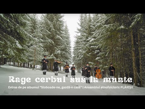 Ansamblul etnofolcloric Plăieșii - Rage cerbul sus la munte