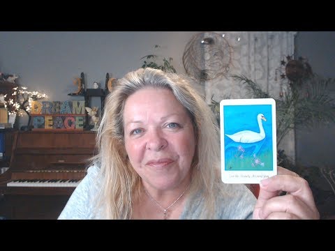 Your Daily Focus for August 27, 2019 through Tarot, Numerology and Astrology
