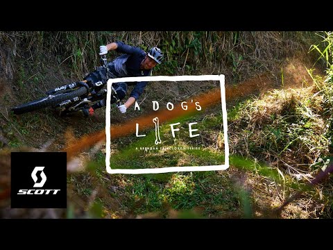 Dovolená na Jamajce