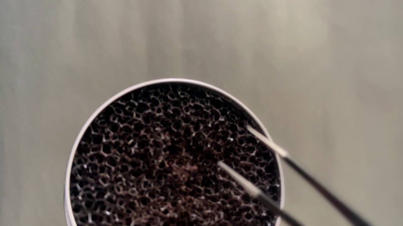 ASMR | Sponge Scratching Sound Only * No Talking *