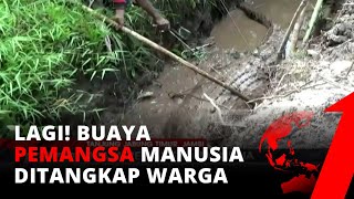 Download lagu Tertangkap Lagi! Buaya Raksasa Pemangsa Manusia Ditangkap Warga | tvOne mp3