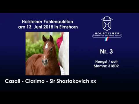 Holsteiner Fohlenauktion im Juni | Nr. 3 v. Casall - Clarimo