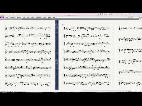 1070 Solo Violin No.2