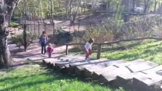 В зоопарке весной(6)