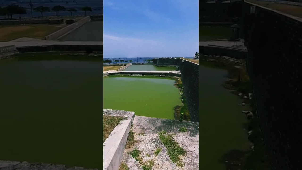 YouTube Short thumbnail