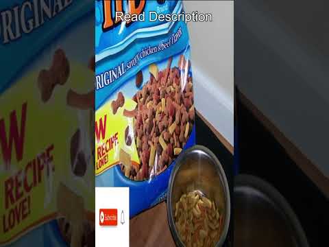 The Kibble and Bits Review: Is Kibble And Bits Good For Dogs? Preview