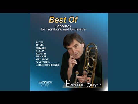 Concerto in D: I. Adagio (Arr. by David Andrews)