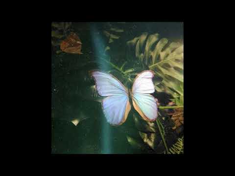 [FREE] Amine x Smino Type Beat “FOREST DRIVE”