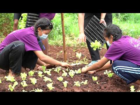 Tung Luang Royal Project Development Center
